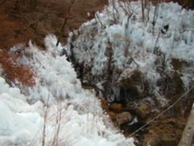 ���m���S�i�X��