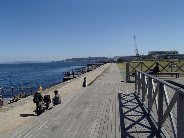 ���݂�������