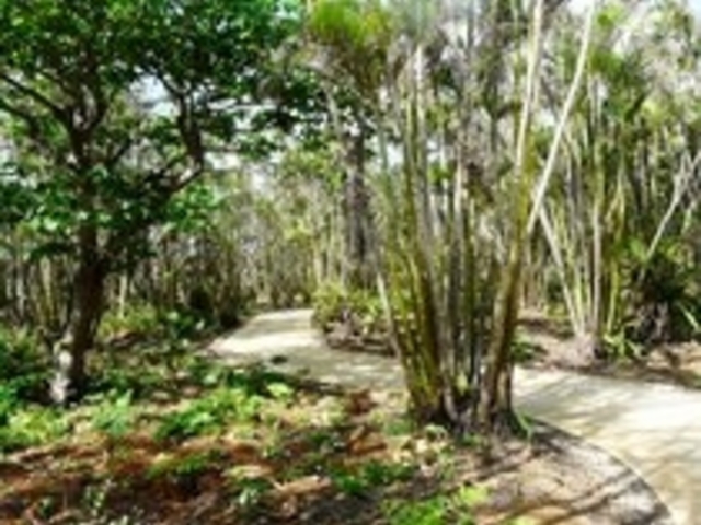 �܂��ς� �{�Ó��M�щʎ���