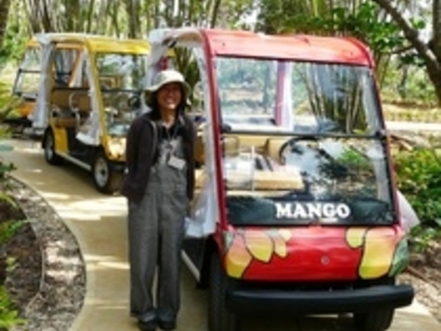 �܂��ς� �{�Ó��M�щʎ���