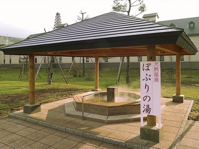 �V�R����ۂՂ�̓��i���������j