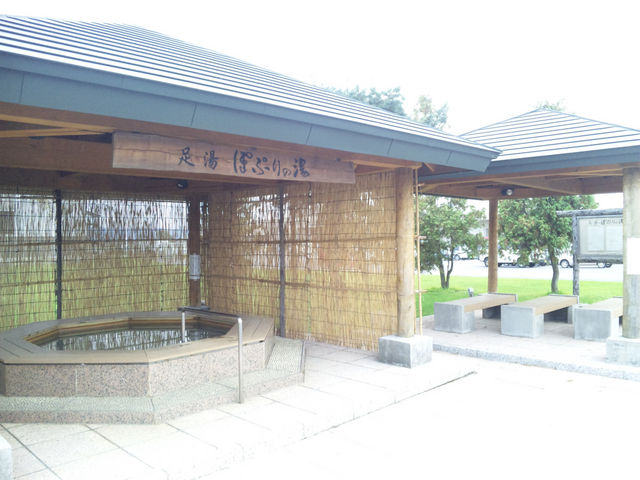 �V�R����ۂՂ�̓��i���������j