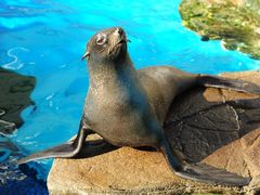 京都水族館の写真一覧 じゃらんnet