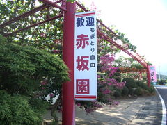 赤坂園の写真1