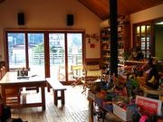 �h�b�O�K�[�f���@�т�̖؂̎ʐ^2