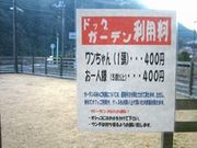 �h�b�O�K�[�f���@�т�̖؂̎ʐ^3