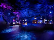 Í`[Cف`V[JXE~[WA`̎ʐ^2