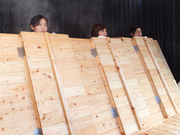 ���� �����܂�⦂̎ʐ^3