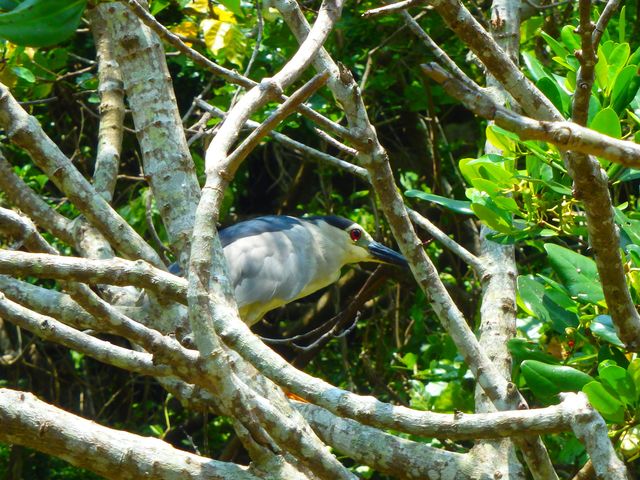 �C�����сi�C�������ہj