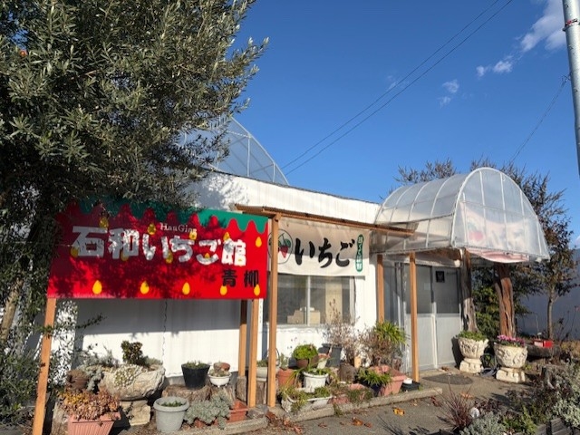 �C�`�S�̊Ŕ��ڈ�_�Θa�������ِ�