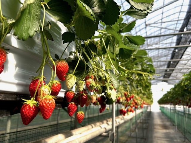 �Θa�������ِ�