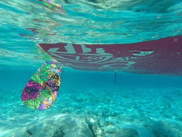 PADDLEMONKEY��STARBOARD�EBICSPORT�̔̔��X_�����݃p�h�������L�[