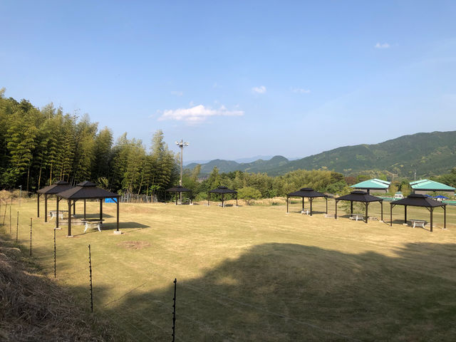 2���`50���܂ł����p�����܂��I_���[�g�C���O�����e�B�A�����{��-�e�c����-