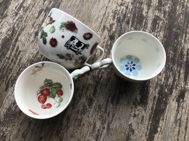 ��i_�R�~���j�e�B�K�[�f���ߐ{��y��