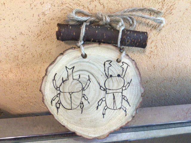 ��i_�R�~���j�e�B�K�[�f���ߐ{��y��