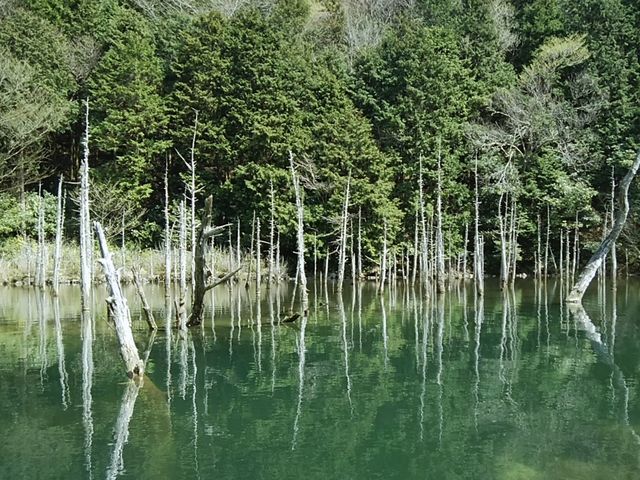 ���ق����7���I���ւ̉B���i�X�|�b�g�A��̖��������B_��̖�����O�����h�z�e��