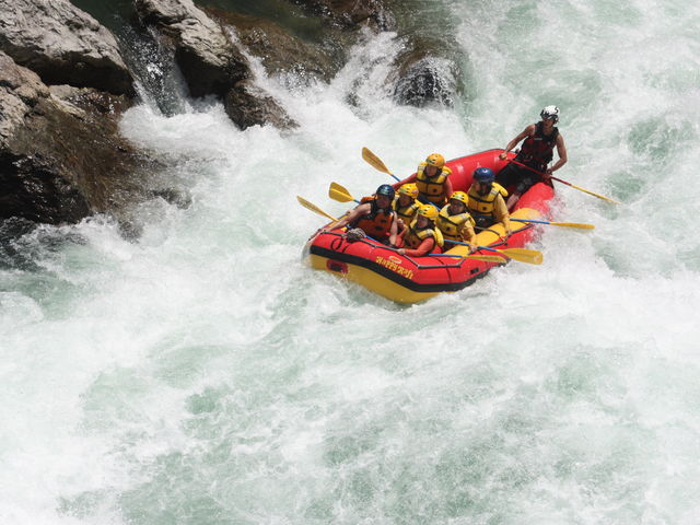 �ɂ��ۂ񂢂��̃z���C�g�E�B�[�^�[�I_�n�b�s�[���t�g