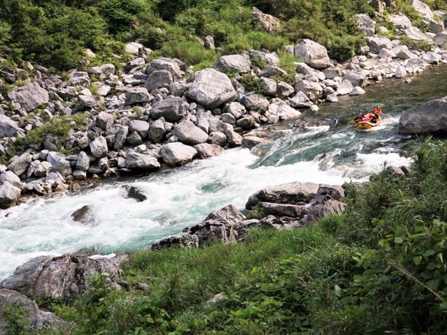 �����R�[�X�Ō�̊⌴�̐��I_�n�b�s�[���t�g