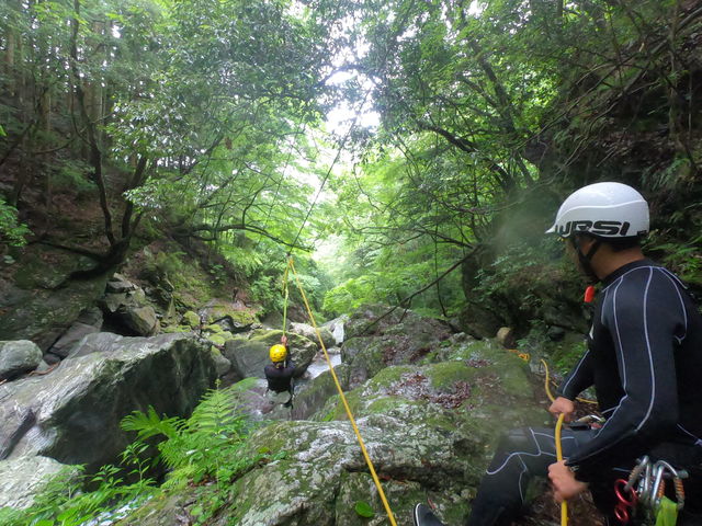 �}�C�i�X�C�I���̒��ցA�����Ă������`���I_�n�b�s�[���t�g