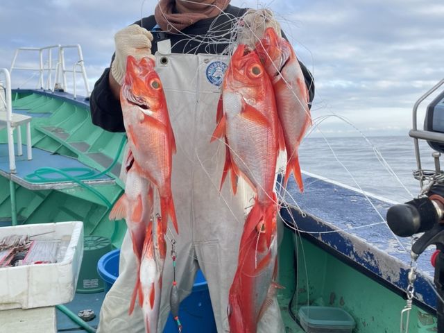 ��ɓ������q��