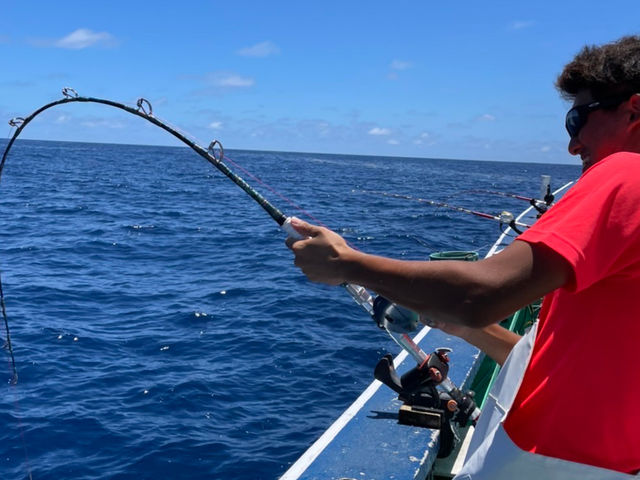 ��ɓ������q��