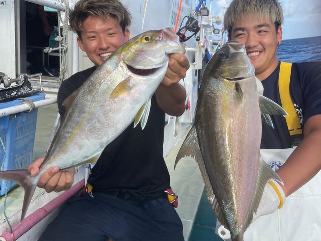 ��ɓ������q��