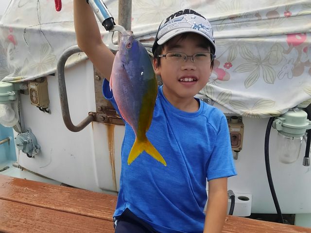 ��������傫�Ȃ����ł��I_�V���D�@�C�F��