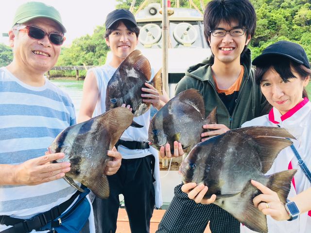 ���Ƒ��P�C����_�V���D�@�C�F��