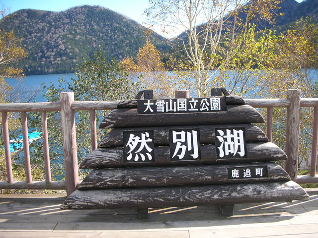 �R�c�^�N�V�[