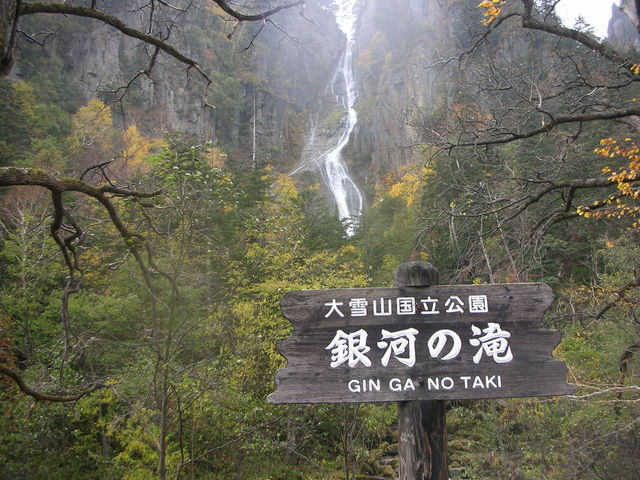 �R�c�^�N�V�[