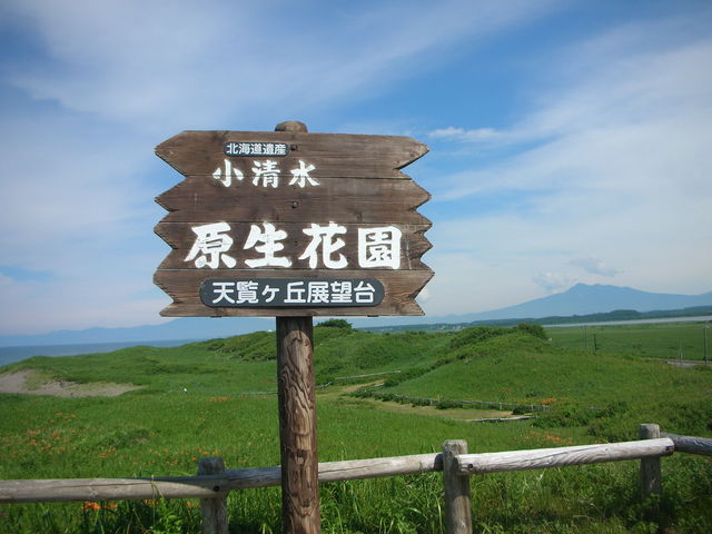 �R�c�^�N�V�[