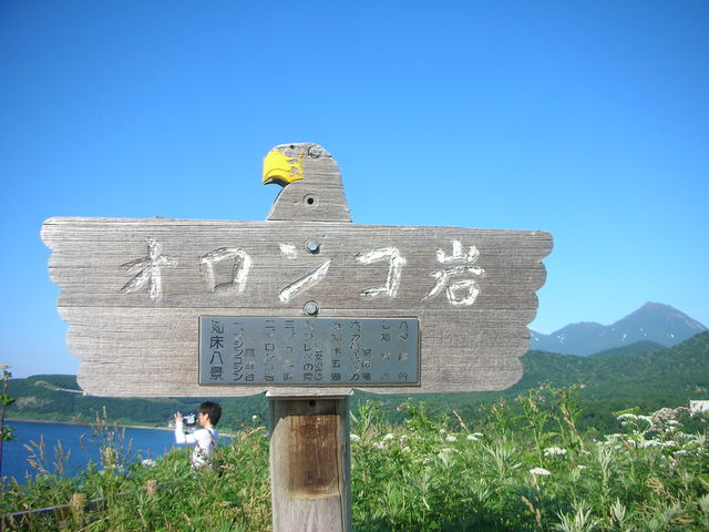 �R�c�^�N�V�[