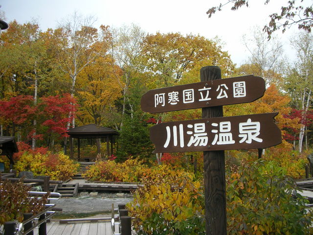 �R�c�^�N�V�[