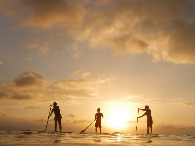 �O���C�h�p�h���T�[�r�X