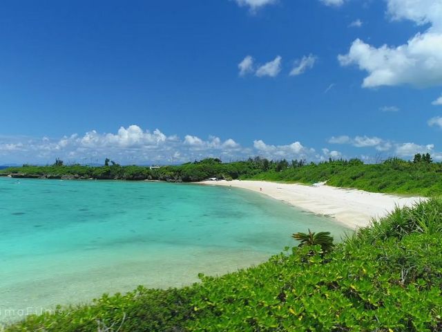 �O���C�h�p�h���T�[�r�X