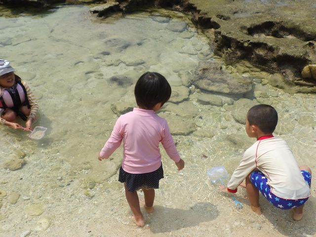 �x�e���Ԃ͐������T���I_�O���C�h�p�h���T�[�r�X