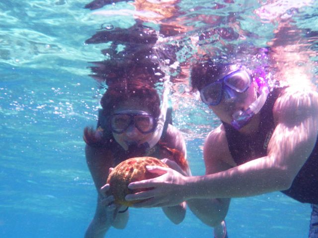 �O���C�h�p�h���T�[�r�X