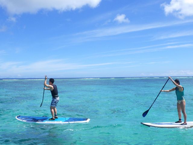 �O���C�h�p�h���T�[�r�X