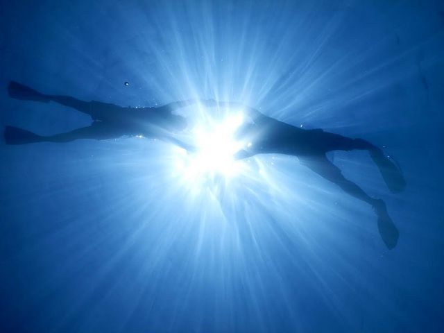 �O���C�h�p�h���T�[�r�X