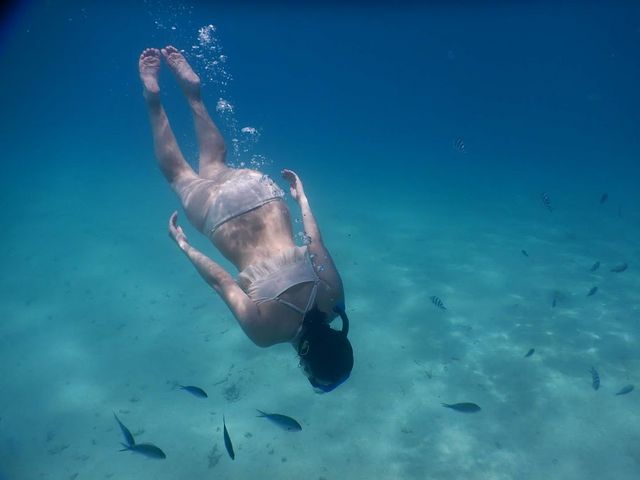 �O���C�h�p�h���T�[�r�X