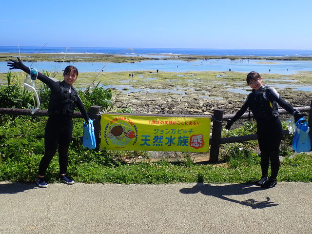 �V�[�g���x���[