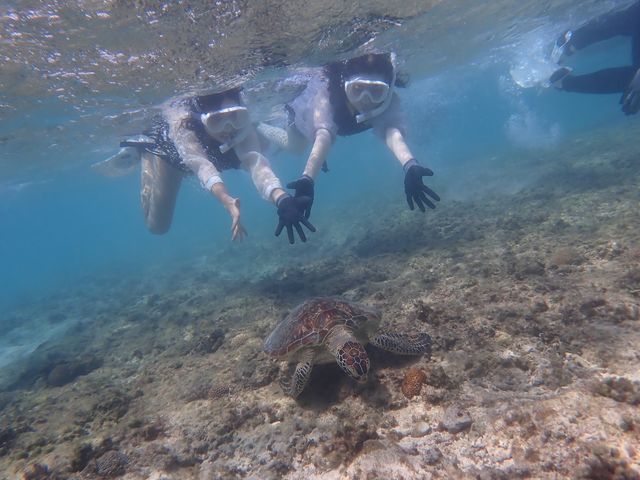 �V�[�g���x���[