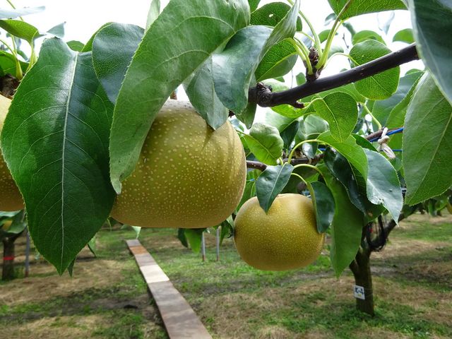 ������˂���