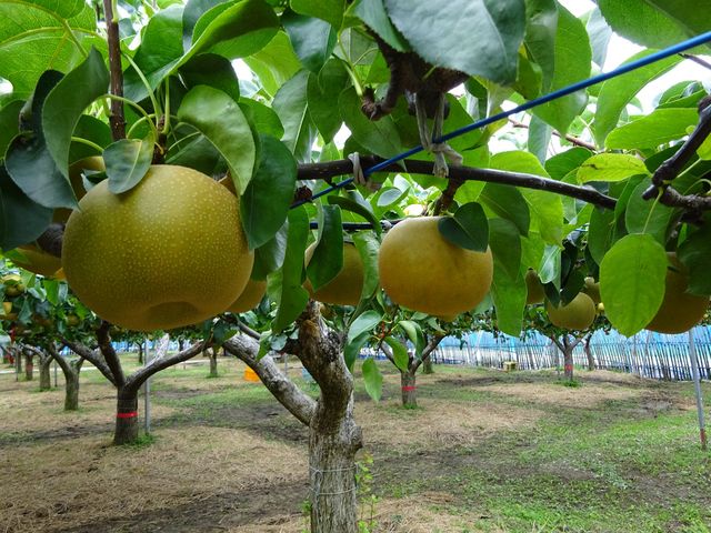 ������˂���