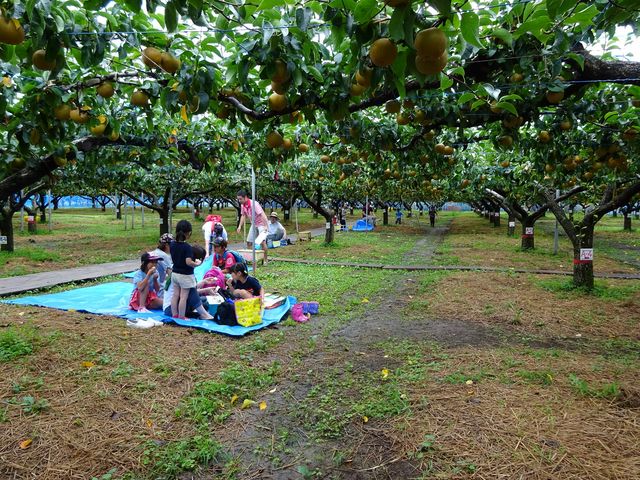 ������˂���