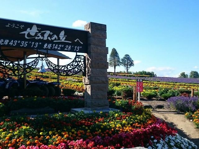 ���l�ɂ���[���u�̋u�̓J���t���ȉԁX���炫�ւ艀�����o�M�[��V���J�[�g�Ȃǂŉ�鎖���o���܂��B_�k�C�����M�ό��l�͂ȃ^�N�V�[