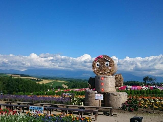 ���l�̎l�G�ʂ̋u�́A�L��ȋu�ɍL���锨�ɁA�F�N�₩�� ���Ԃ��؁A�A���p�J�Ƃ̐G�ꍇ���A�m���b�R��o�M�[�̏�蕨�A�y���V�����Ȃ� �̌��^�K�[�f���ł��B_�k�C�����M�ό��l�͂ȃ^�N�V�[