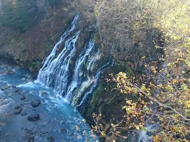 ���l�̐��r�̏㗬�ɁA���̔��E�̑�ƃu���[���o�[������A�����͋��̏ォ��]�߂܂��B_�k�C�����M�ό��l�͂ȃ^�N�V�[