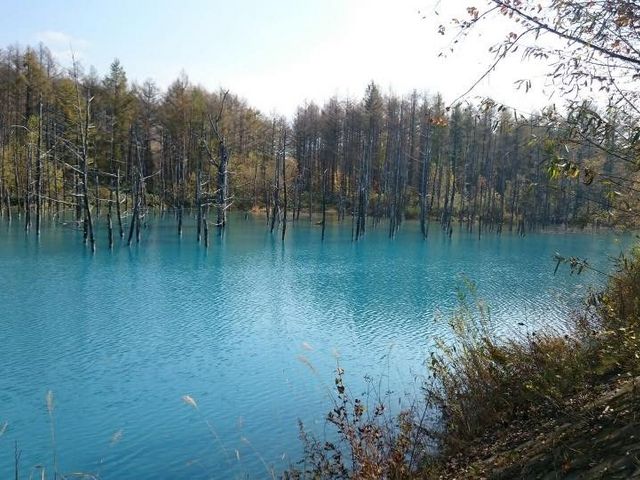 ���l�̐��r�A��������L���ɂȂ�܂������A�΍ГD���̍ЊQ��h���ׂɐݒu���ꂽ����ɐ������܂��ďo�������̂ŁA��̐��̐����Ƒ��z���ɂ���Đ������邻���ł��B_�k�C�����M�ό��l�͂ȃ^�N�V�[