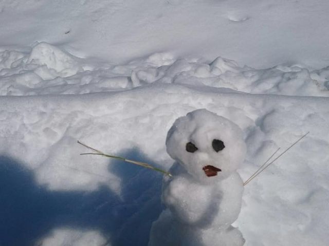 ������́A�� ���Ȃ̐Ⴞ��܂ł��B�ڂ͐΂���A���͗����t�A��͌͂�}�ł��B_�k�C�����M�ό��l�͂ȃ^�N�V�[